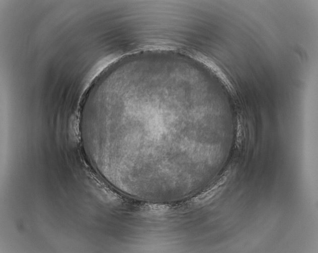 X0000111840878200908061251