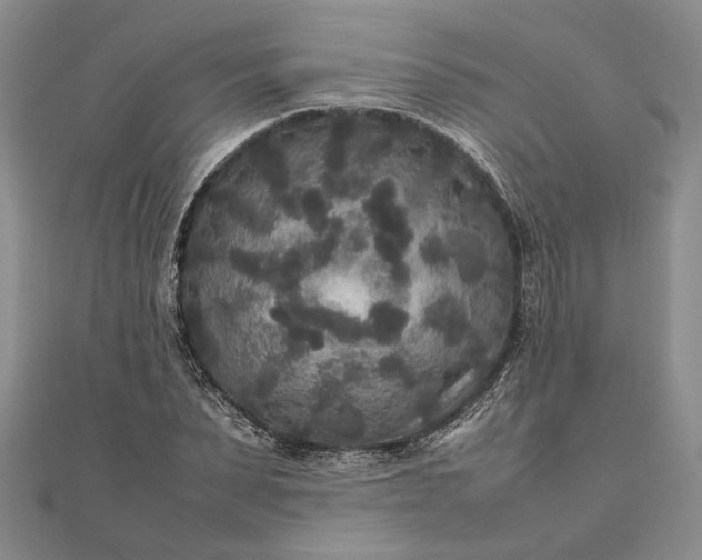 X0000111840879200908061251