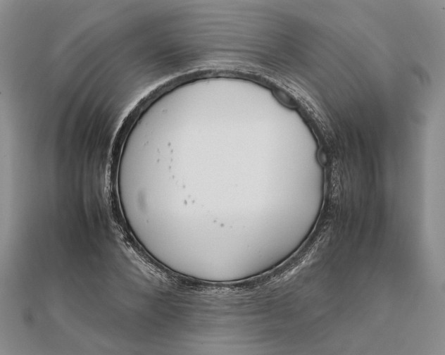 X0000111840880200908061251