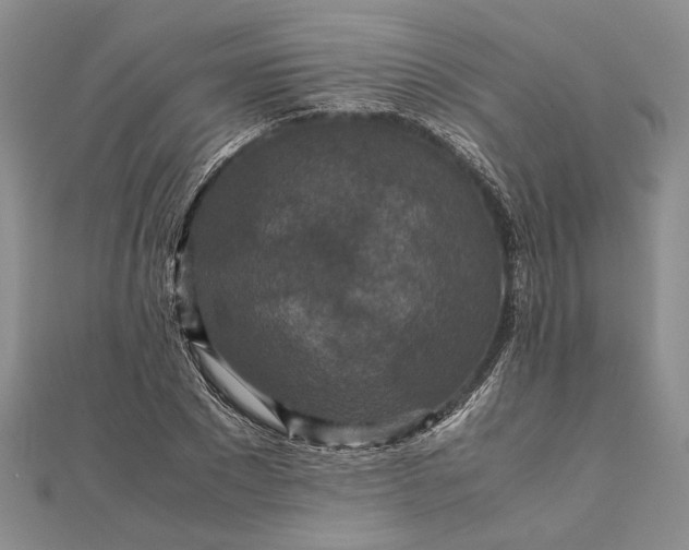 X0000111840881200908061251