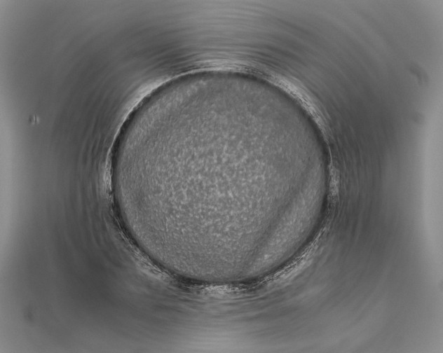 X0000111840883200908061251