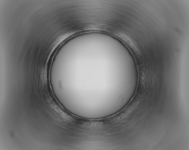 X0000111840884200908061251