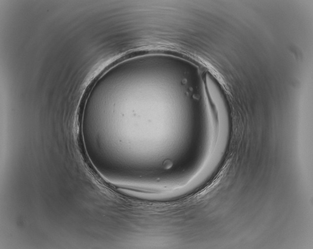 X0000111840885200908061251