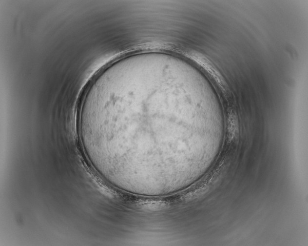 X0000111840886200908061251