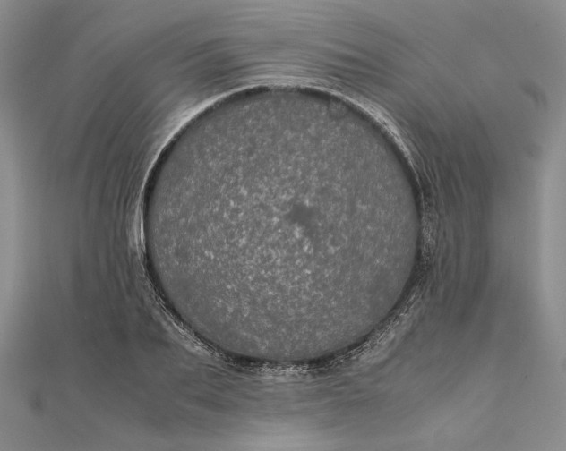 X0000111840887200908061251