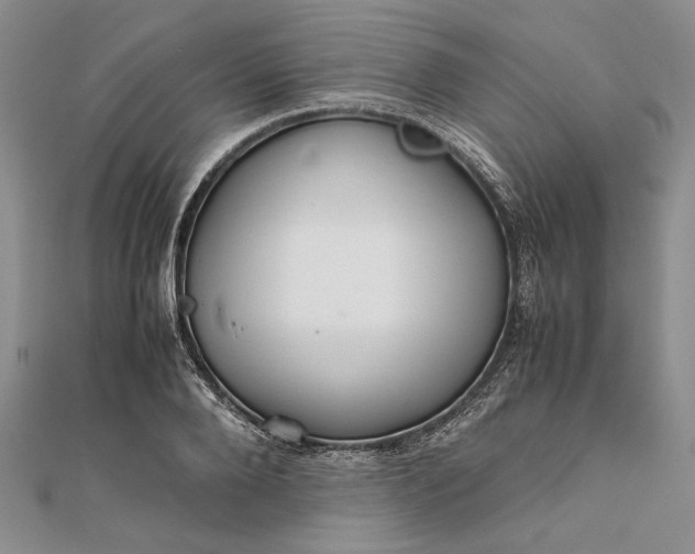 X0000111840888200908061251