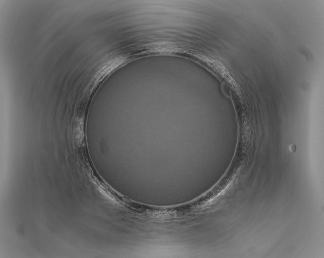 X0000111840889200908061251