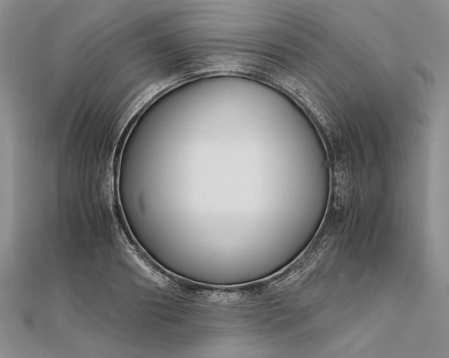 X0000111840890200908061251