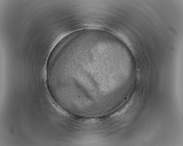 X0000111840891200908061251