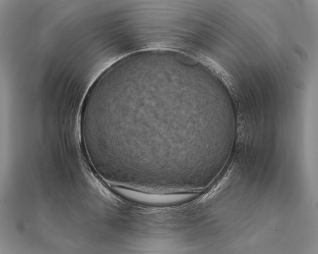 X0000111840892200908061251