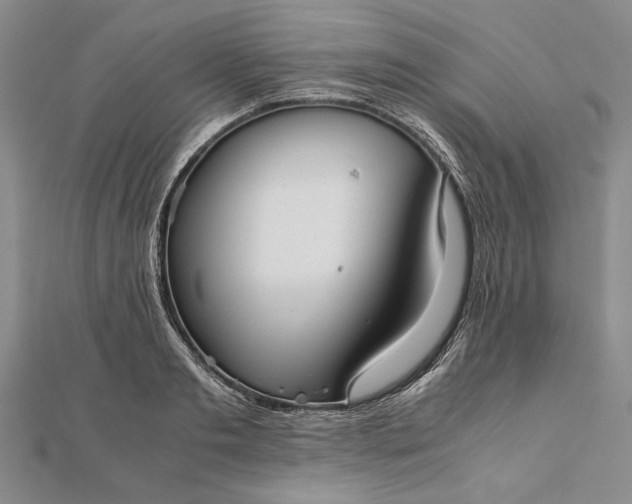 X0000111840893200908061251