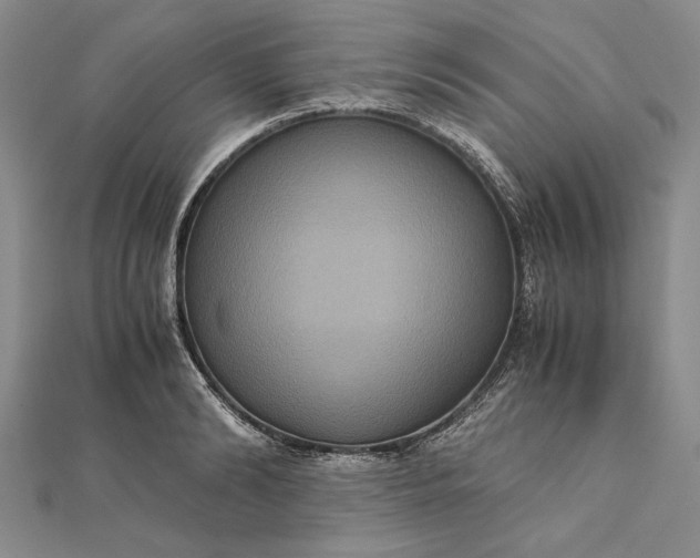 X0000111840894200908061251