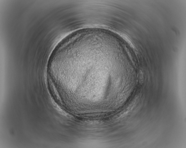 X0000111840895200908061251