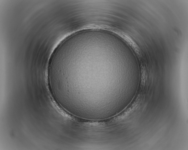 X0000111840896200908061251