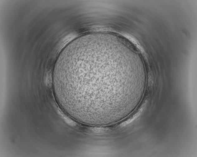 X0000111840897200908061251