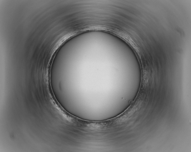 X0000111840898200908061251