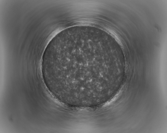 X0000111840899200908061251