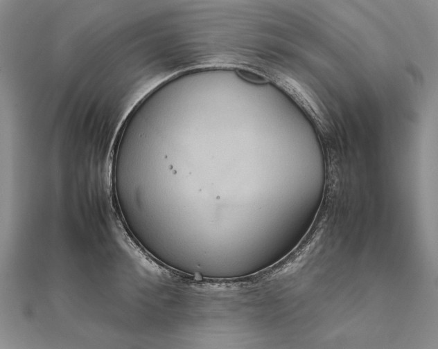 X0000111840900200908061251