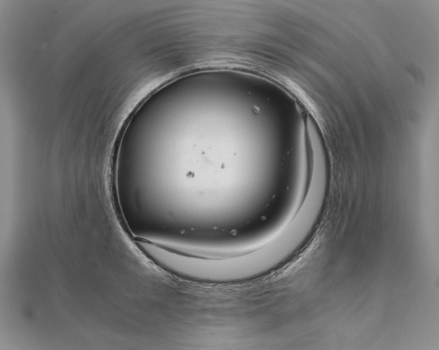 X0000111840901200908061251