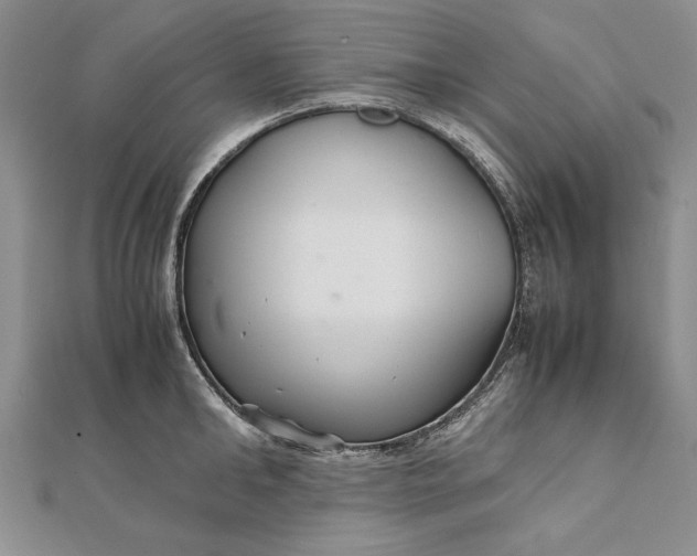 X0000111840902200908061251