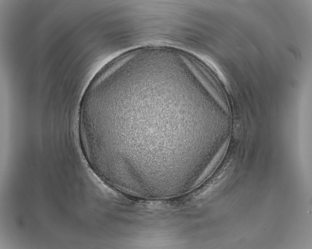 X0000111840903200908061251