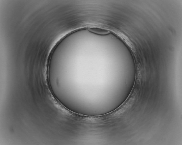 X0000111840904200908061251