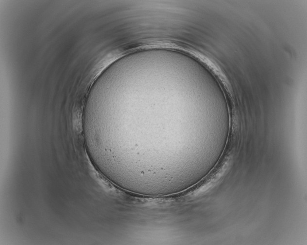 X0000111840905200908061251