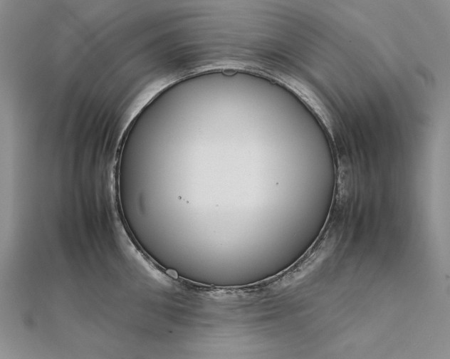 X0000111840906200908061251