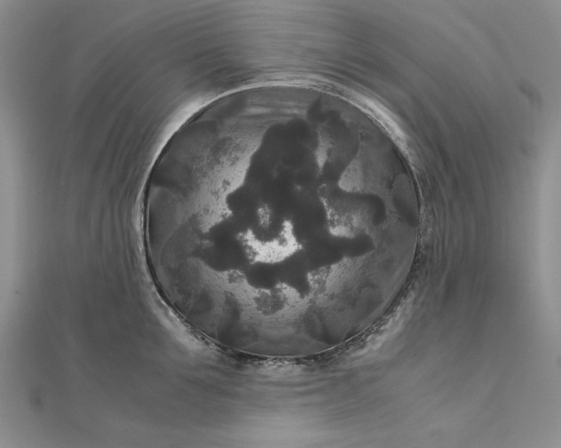 X0000111840907200908061251