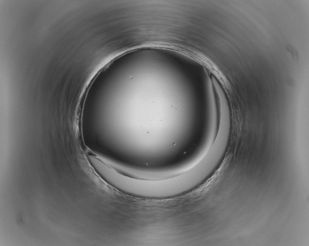 X0000111840908200908061251