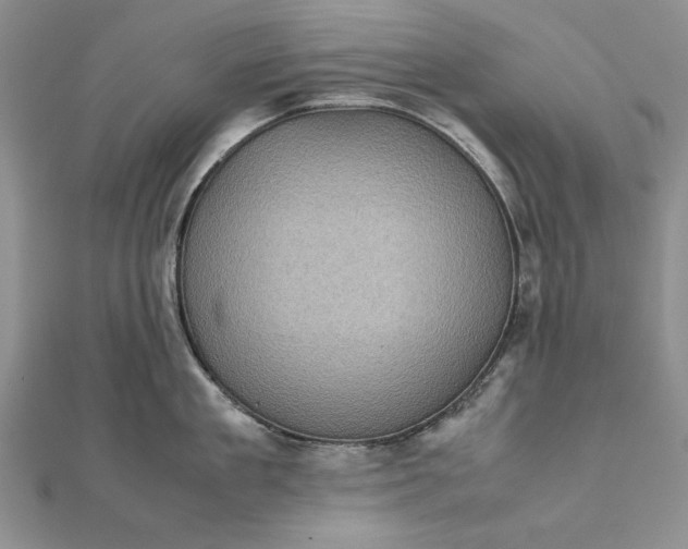 X0000111840909200908061251