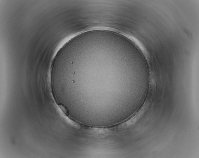 X0000111840910200908061251