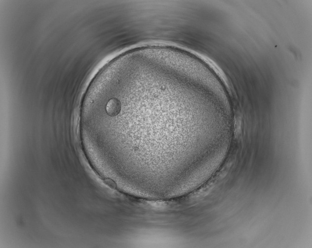 X0000111840911200908061251