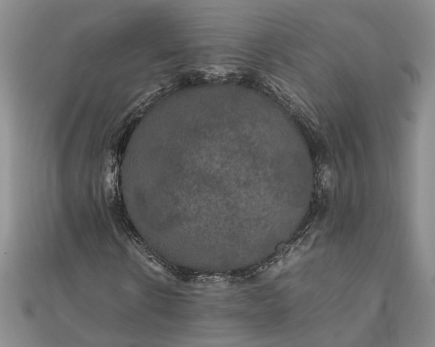 X0000111840914200908061250