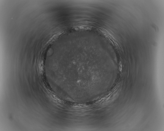 X0000111840915200908061250