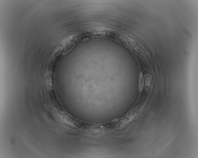 X0000111840916200908061250