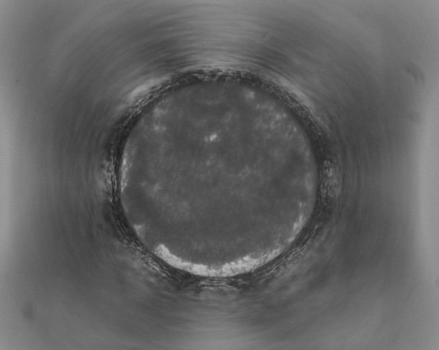 X0000111840918200908061250