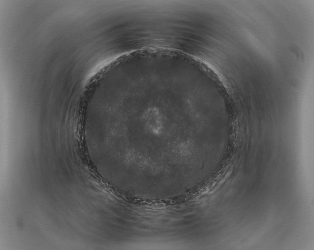 X0000111840919200908061250