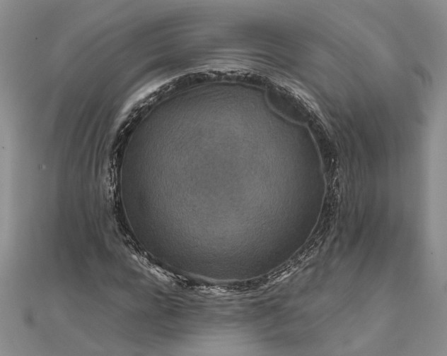 X0000111840920200908061250