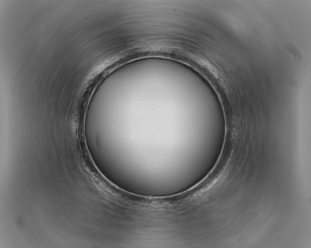 X0000111840922200908061250