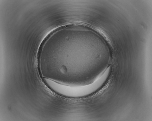 X0000111840924200908061250