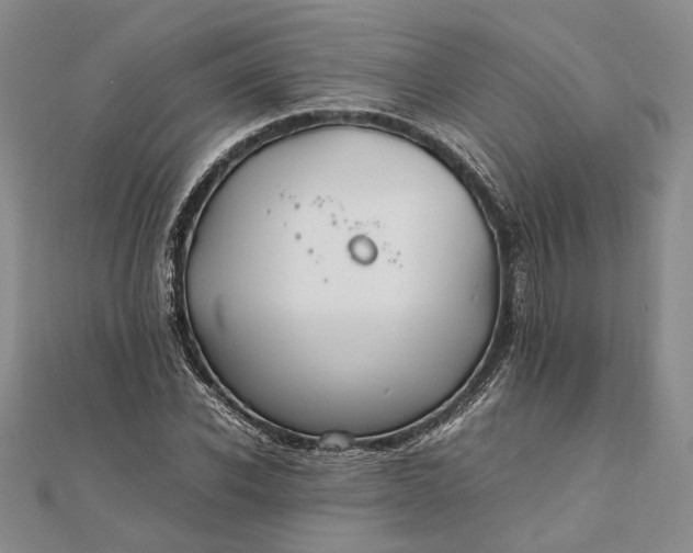 X0000111840926200908061250