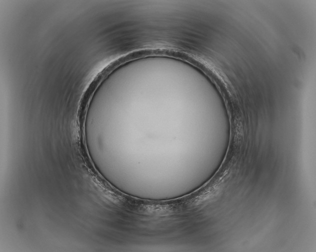 X0000111840927200908061250