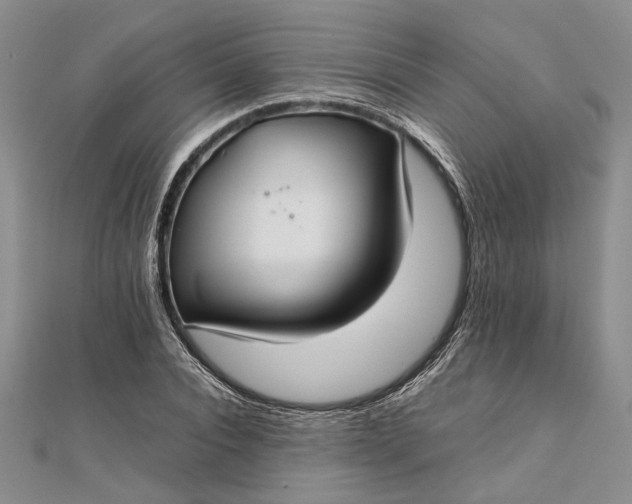 X0000111840928200908061250