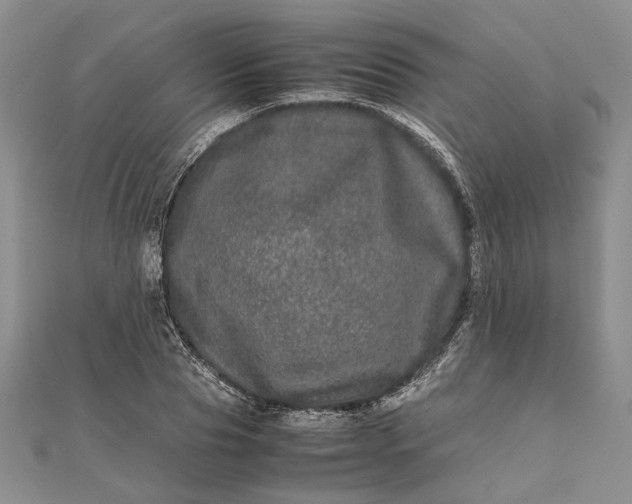 X0000111840929200908061250