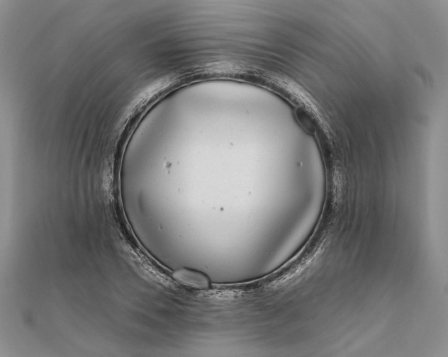 X0000111840930200908061250