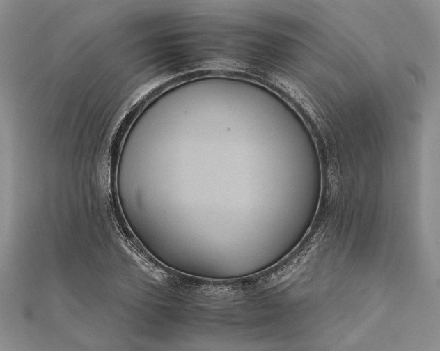 X0000111840931200908061250