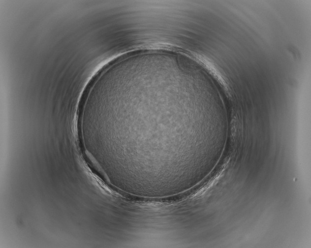 X0000111840932200908061250