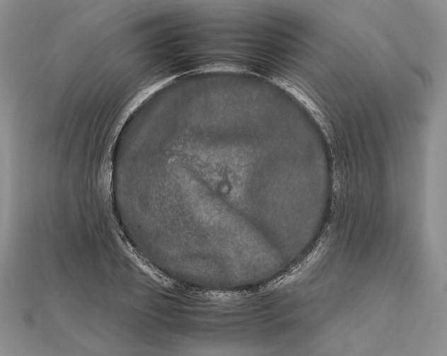 X0000111840933200908061250