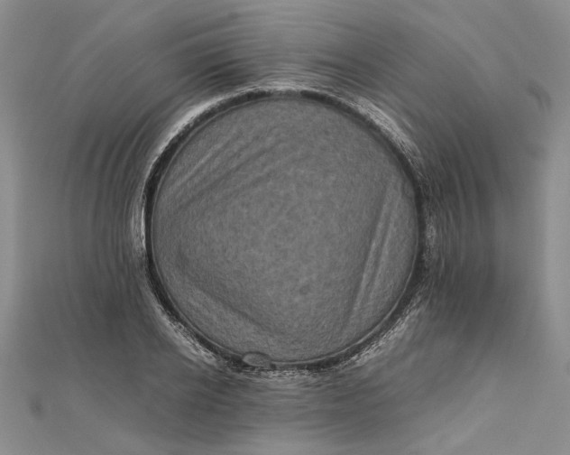 X0000111840934200908061251